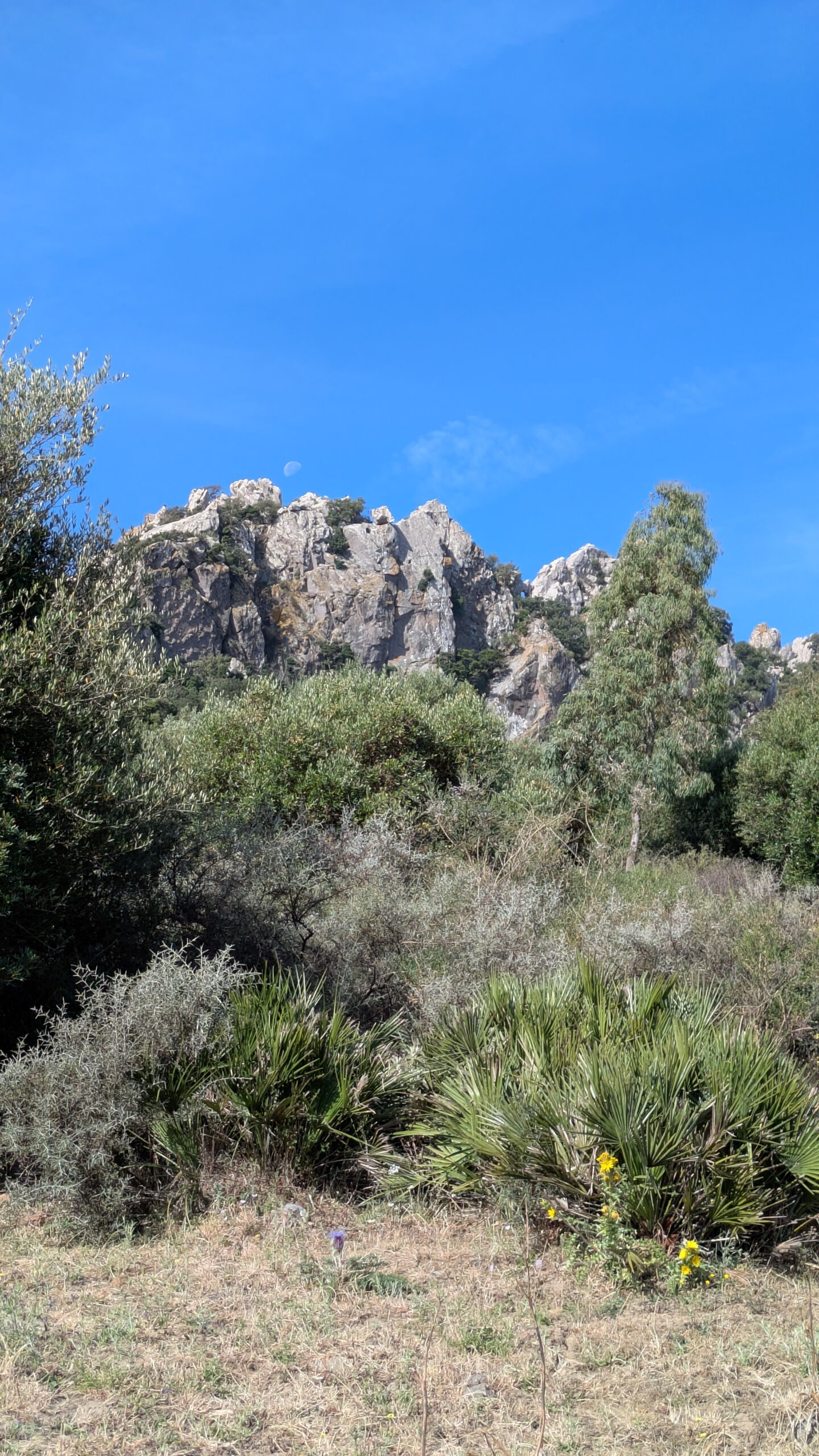 San Bartolo – Zona de Arriba, Cádiz