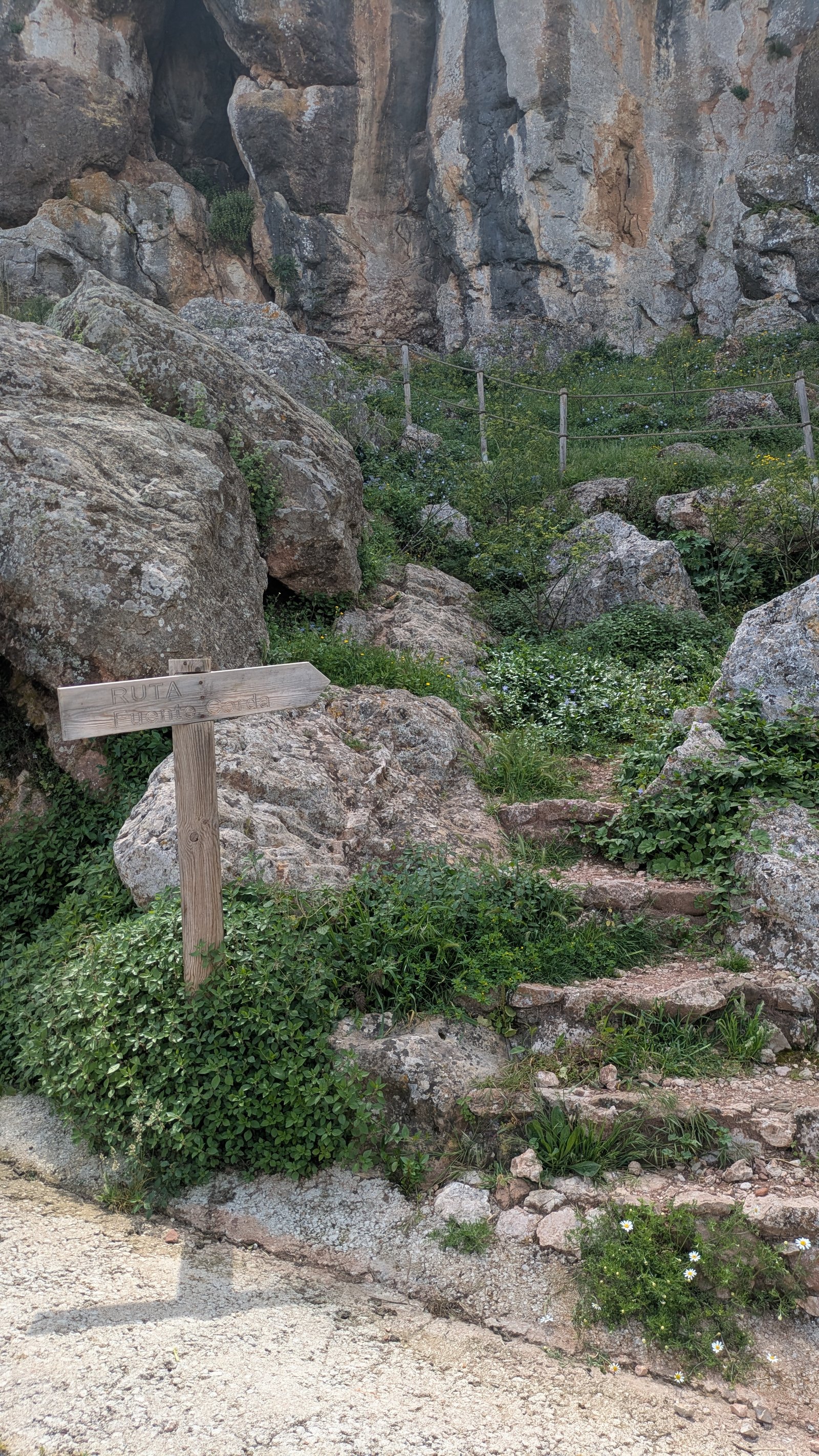 Fuente Gorda - Comares imagen 5