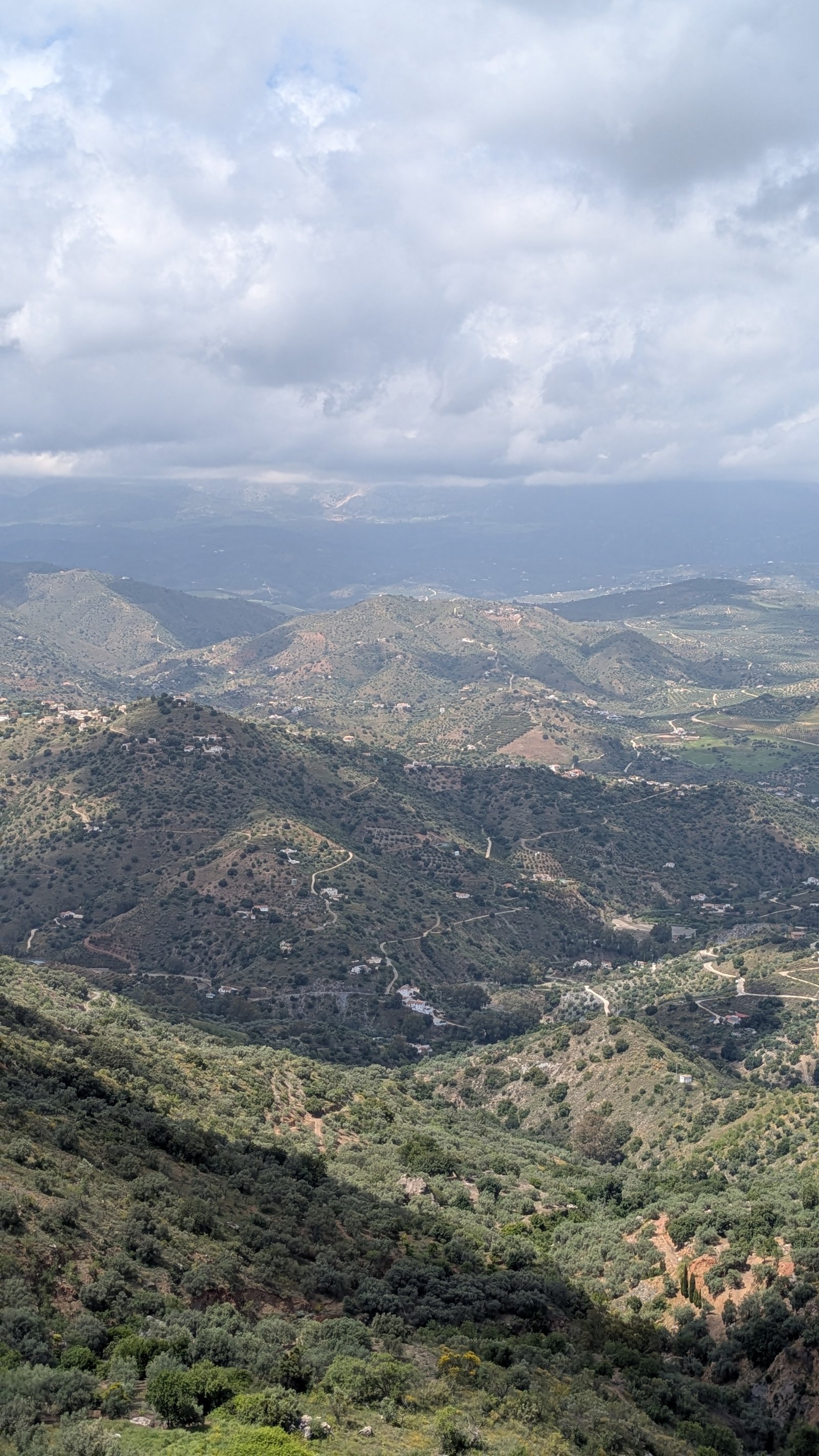 Fuente Gorda - Comares imagen 7